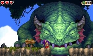 Shantae And The Pirate's Curse Review - Screenshot 4 of 4