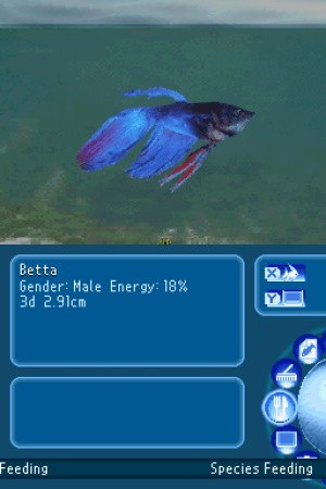 My Aquarium: Seven Oceans Review - Screenshot 1 of 3