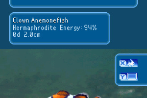 My Aquarium: Seven Oceans Screenshot