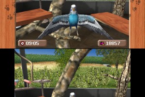 Me & My Pets 3D Screenshot