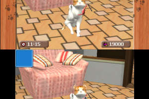 Me & My Pets 3D Screenshot