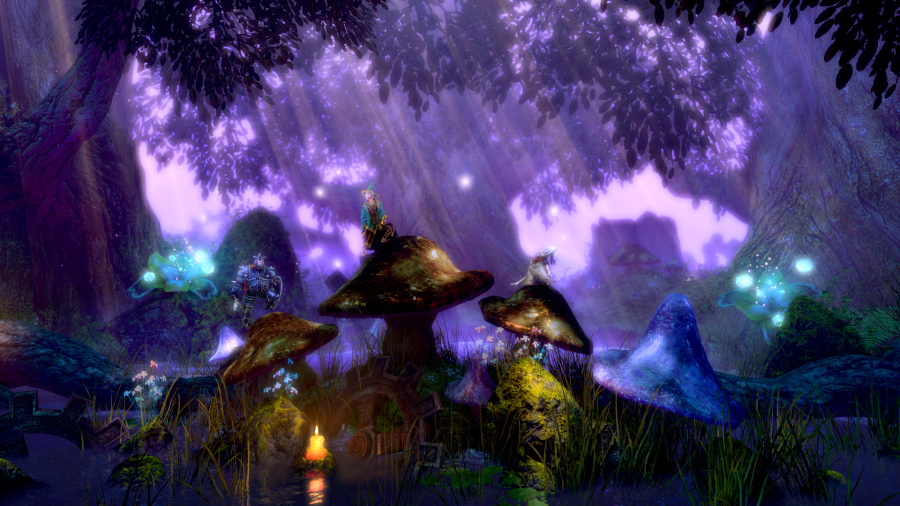 Trine Enchanted Edition Review - Screenshot 3 of 3