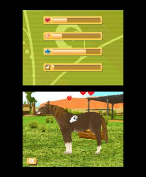 Outback Pet Rescue 3D Review - Screenshot 1 of 3