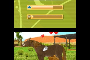 Outback Pet Rescue 3D Screenshot