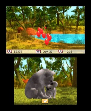 Outback Pet Rescue 3D Review - Screenshot 2 of 3