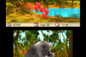 Outback Pet Rescue 3D Screenshot