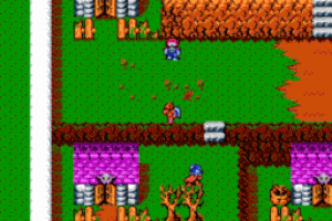 Gargoyle's Quest II: The Demon Darkness Screenshot