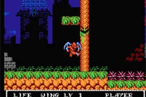 Gargoyle's Quest II: The Demon Darkness Screenshot