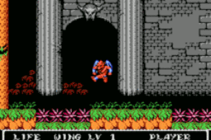Gargoyle's Quest II: The Demon Darkness Screenshot