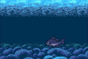 Legend of the River King 2 Screenshot