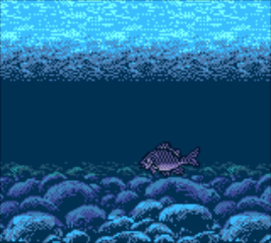Legend of the River King 2 (Game Boy Color) Screenshots