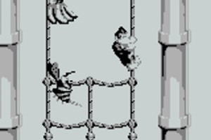 Donkey Kong Land Screenshot