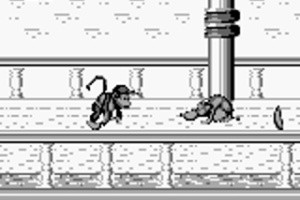 Donkey Kong Land 2 Screenshot