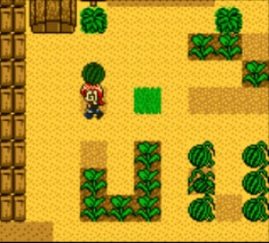 Harvest Moon 2 Review - Screenshot 1 of 4