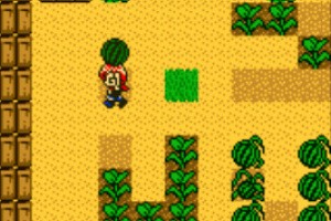 Harvest Moon 2 Screenshot