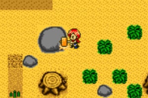 Harvest Moon 2 Screenshot