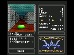 Double Dungeons Review - Screenshot 1 of 3