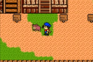 Harvest Moon 3 Screenshot