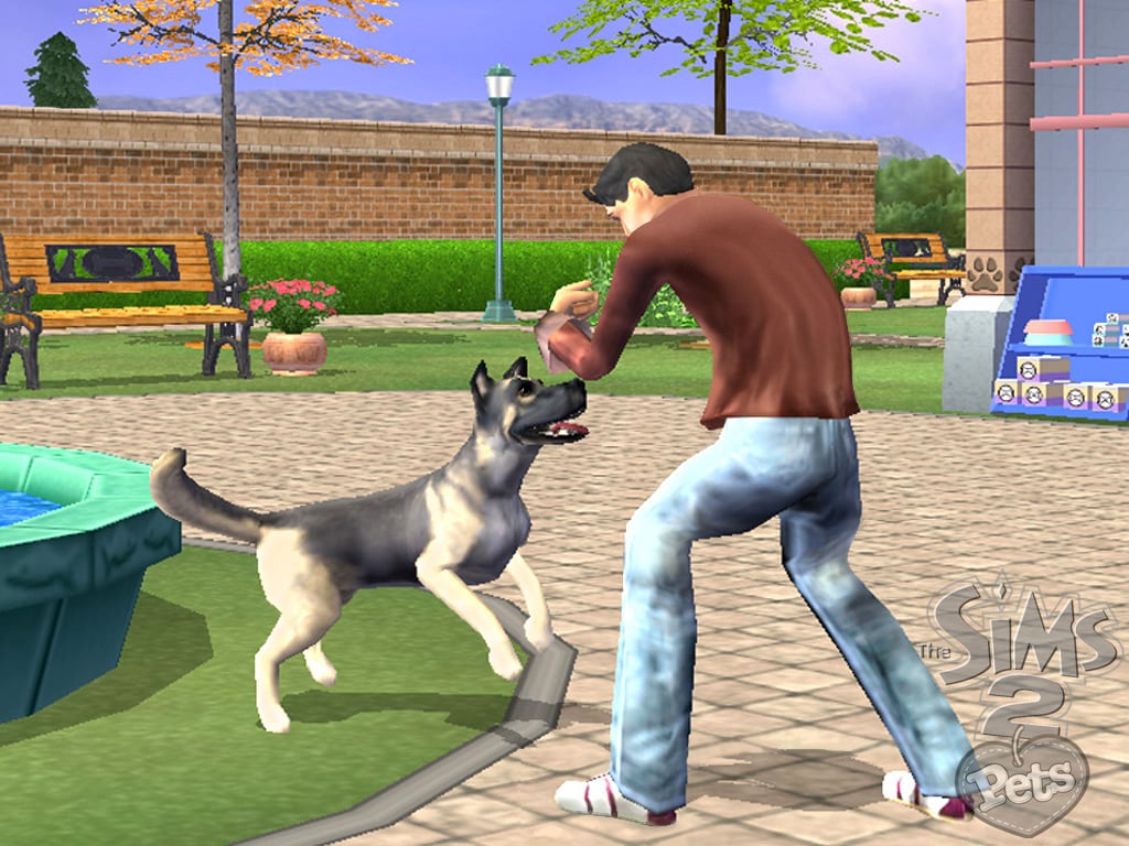 sims 2 pets chaets