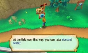 Story of Seasons Review - Screenshot 3 of 5