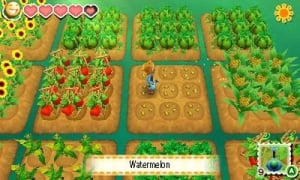 Story of Seasons Review - Screenshot 4 of 5