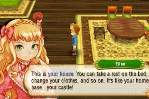 Story of Seasons Screenshot