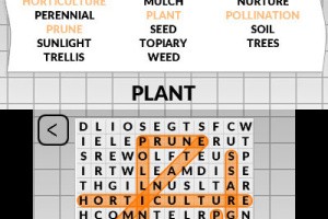 Word Search by POWGI Screenshot