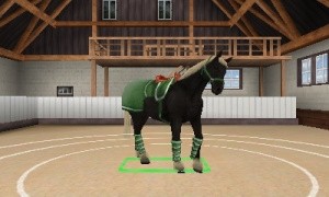 Best Friends - My Horse 3D Review - Screenshot 3 of 3