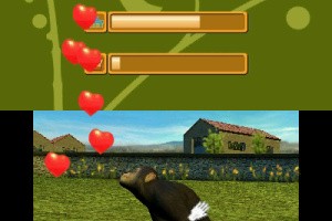 My Zoo Vet Practice 3D Screenshot