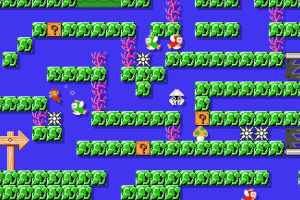 Super Mario Maker Screenshot