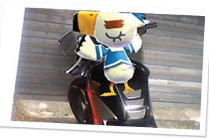 Photos with Animal Crossing Screenshot