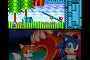 3D Sonic The Hedgehog 2 Screenshot
