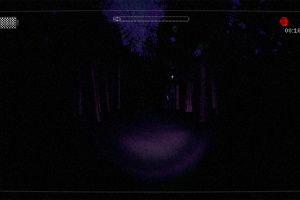 Slender: The Arrival Screenshot