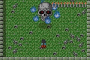 Pocky & Rocky with Becky Screenshot