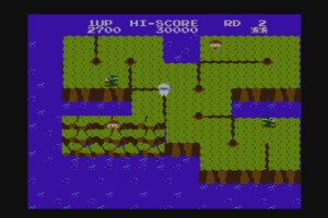 Dig Dug II Screenshot