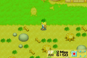 Harvest Moon: More Friends of Mineral Town Screenshot