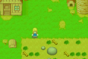 Harvest Moon: More Friends of Mineral Town Screenshot