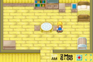 Harvest Moon: More Friends of Mineral Town Screenshot