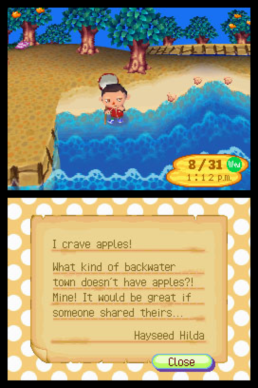 Animal Crossing: Wild World Screenshot