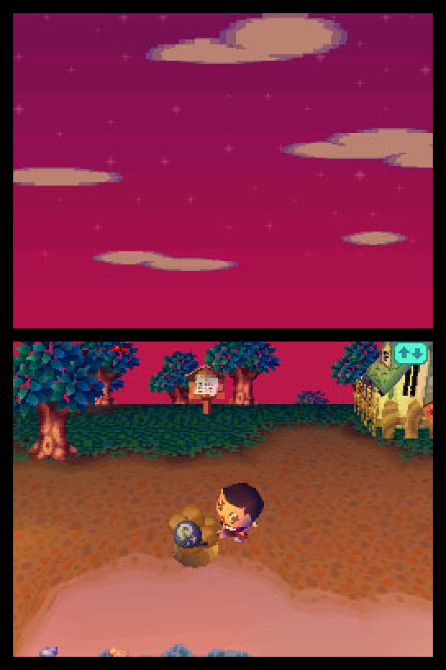 Animal Crossing: Wild World (DS) Screenshots