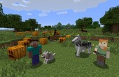 Minecraft: Wii U Edition - Screenshot 6 of 6