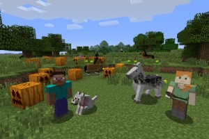 Minecraft: Wii U Edition Screenshot