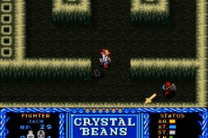 Crystal Beans From Dungeon Explorer Screenshot