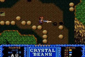 Crystal Beans From Dungeon Explorer Screenshot