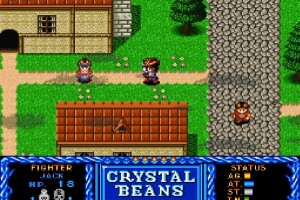 Crystal Beans From Dungeon Explorer Screenshot