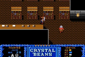 Crystal Beans From Dungeon Explorer Screenshot