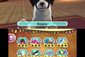 Pet Inn 3D Screenshot