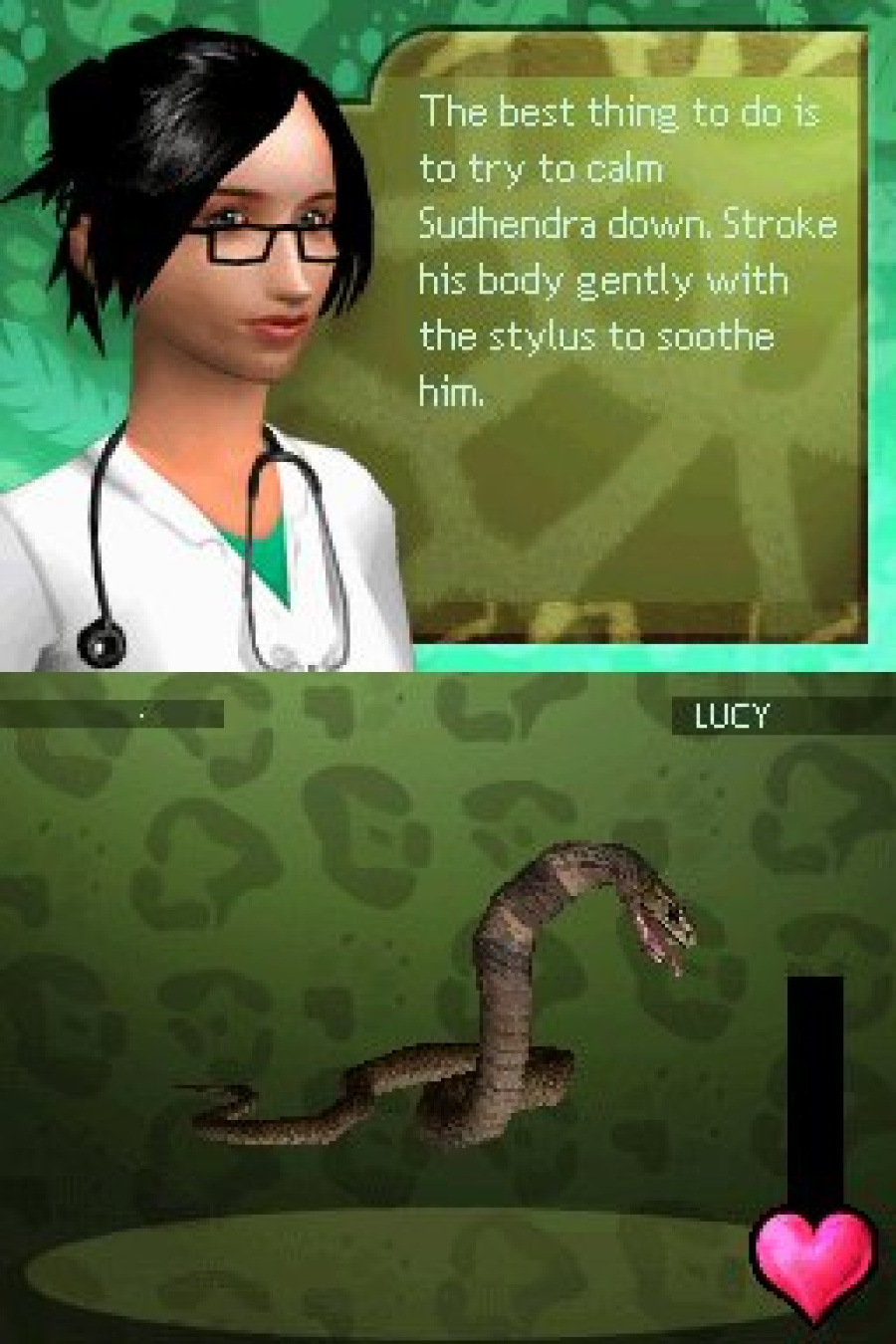Zoo Hospital Screenshot