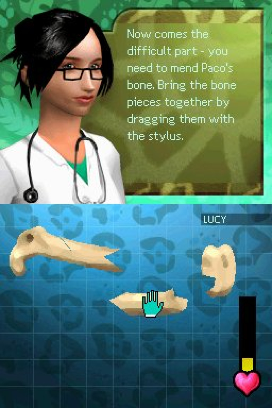 Zoo Hospital Screenshot
