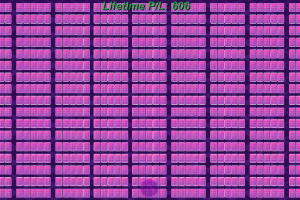153 Hand Video Poker Screenshot
